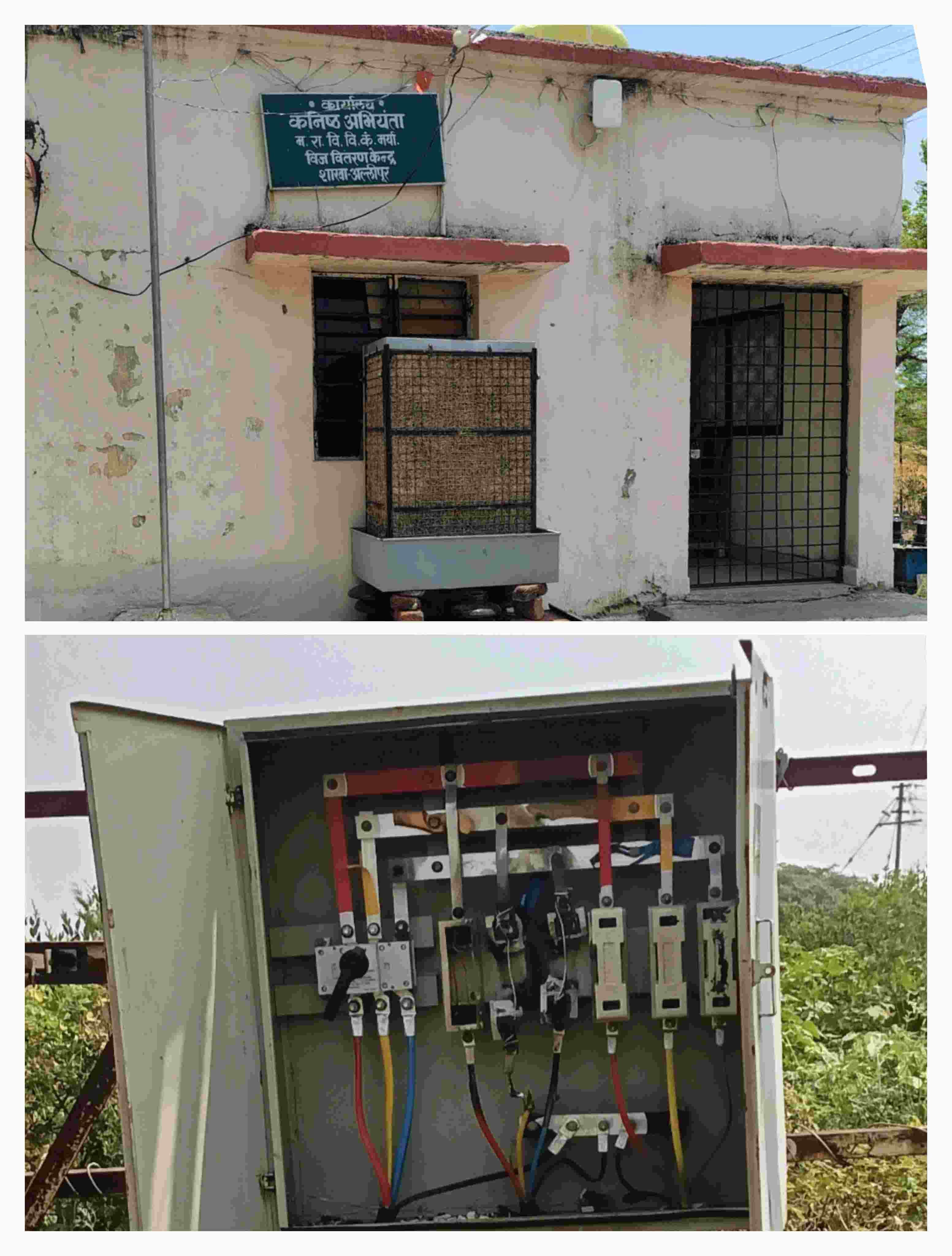 महावितरणच्या कारभारामुळे शेतकरी हैराण; चार वर्षांपासून कमी दाबाच्या विजेचा फटका!